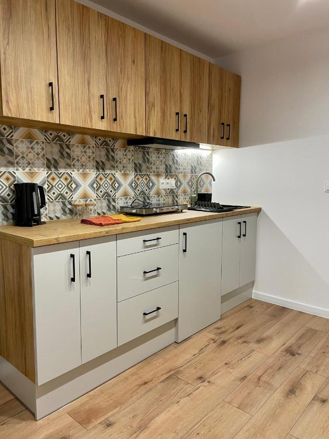 Przestronny Apartament W Centrum Miasta Radom Luaran gambar